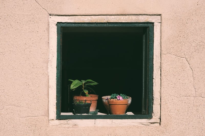 Marketing Insights